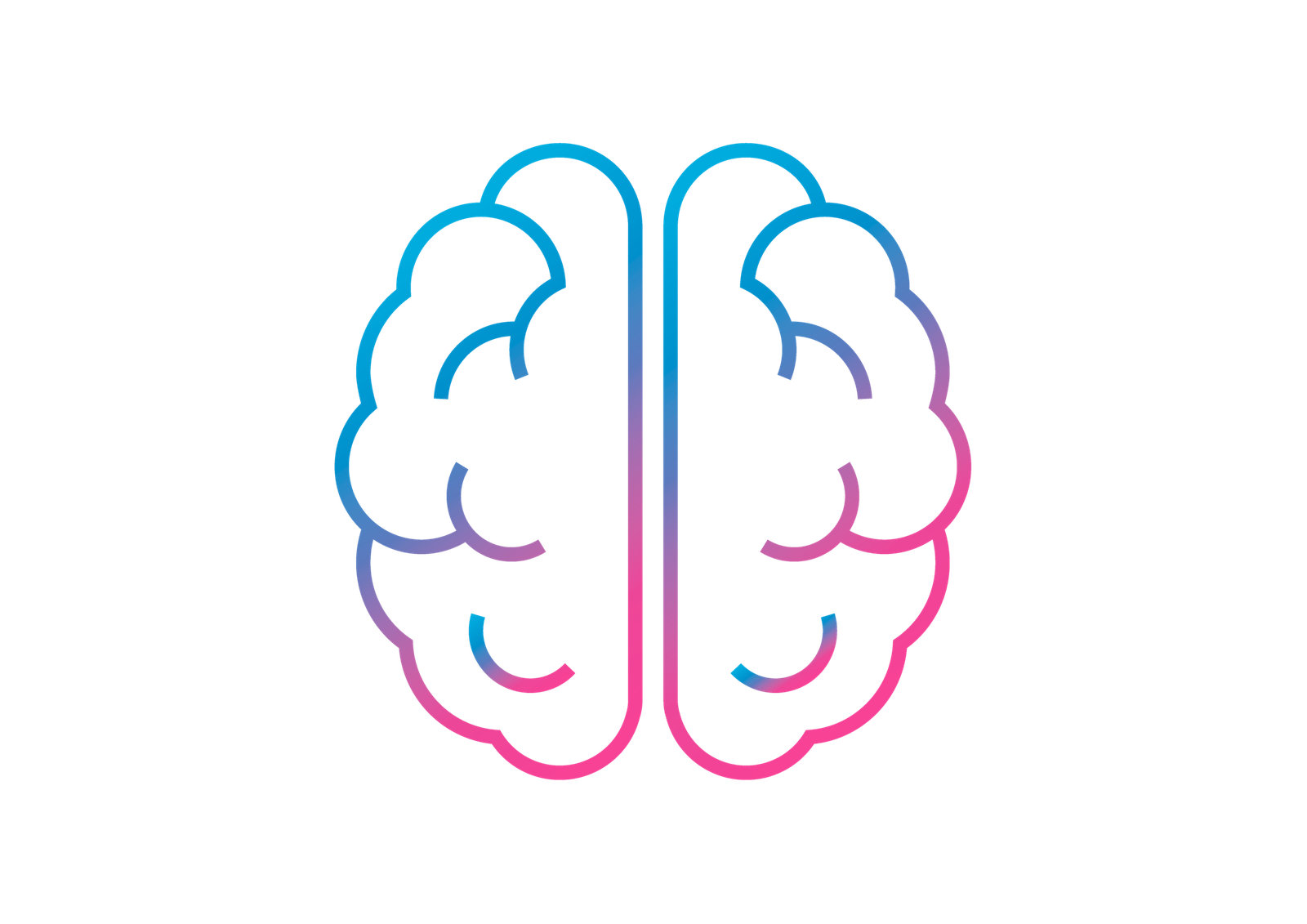 Brain